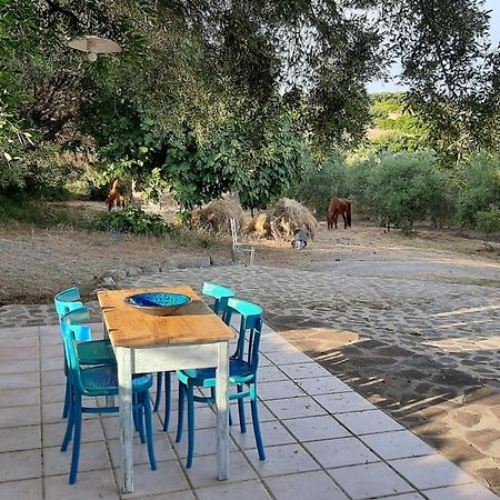 Sa Ruscitta Bed and Breakfast SantʼAntìoco Buitenkant foto